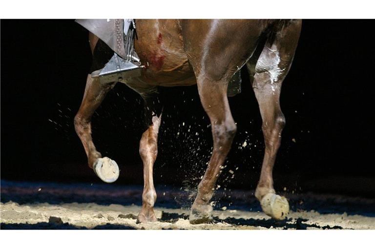 Nach dem Abbruch eines Reitturniers in München sind Details bekanntgeworden, die deutlich auf Tierquälerei hinweisen (Symbolfoto).