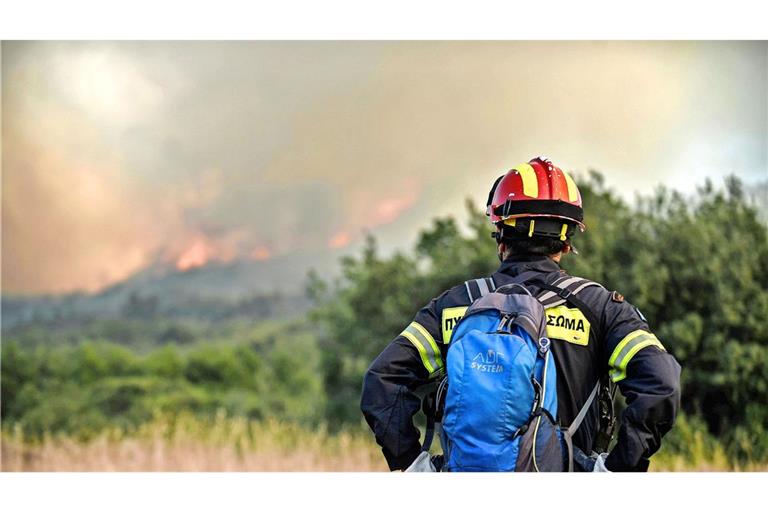 Nach dem Brand ist vor dem Brand: Ein Feuerwehrmann beobachtet im Sommer 2023 in Mittelgriechenland das Wiederaufflammen eines Feuers.