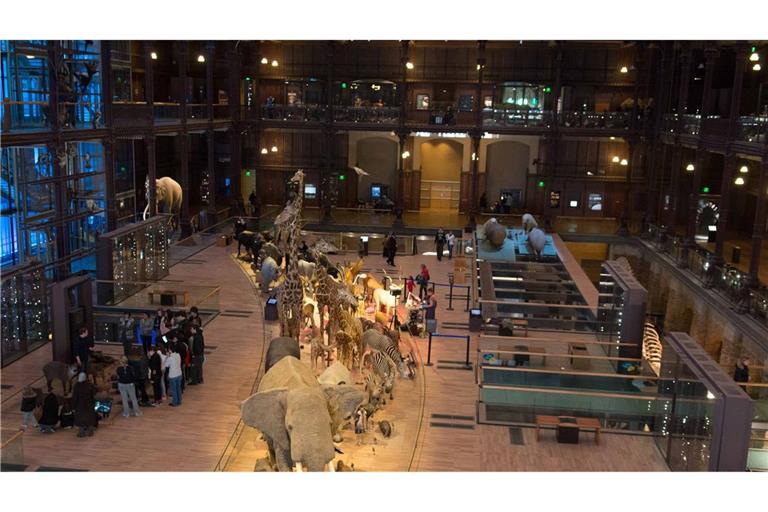 Nach dem Diebstahl seltener Goldnuggets aus dem Pariser Naturkundemuseum sitzt eine 24-jährige Chinesin in Untersuchungshaft (Archivfoto).