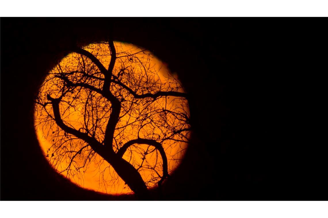 Nach dem kommenden Supermond findet der nächste in einem Jahr statt. (Archivbild)