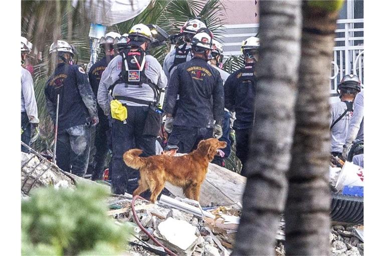 Nach dem Teileinsturz des zwölfstöckigen Wohnhauses ist die Zahl der Todesopfer erneut gestiegen. Foto: Pedro Portal/Miami Herald/AP/dpa