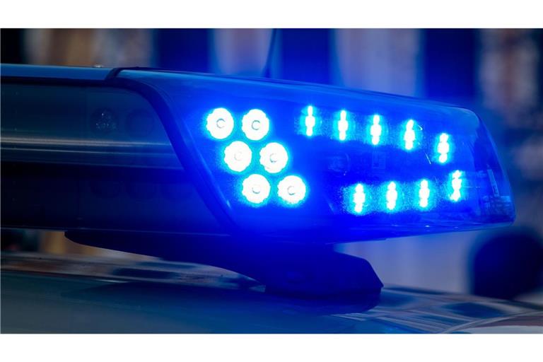 Nach den polizeilichen Maßnahmen wurden die Jungen an ihre Eltern übergeben. (Symbolbild)