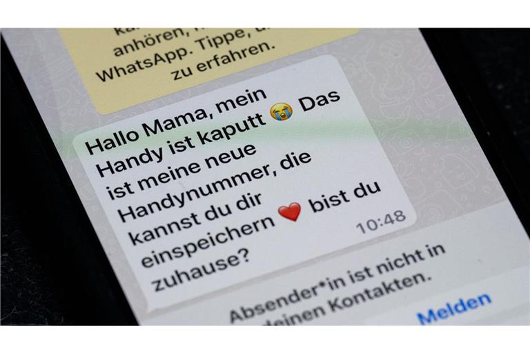 Nach der Kriminalitätsstatik des BKA wurden 2024 in Deutschland 6656 Fälle von Enkeltrick-Betrug  gemeldet. Davon sind 1527 Fälle aufgeklärt worden.