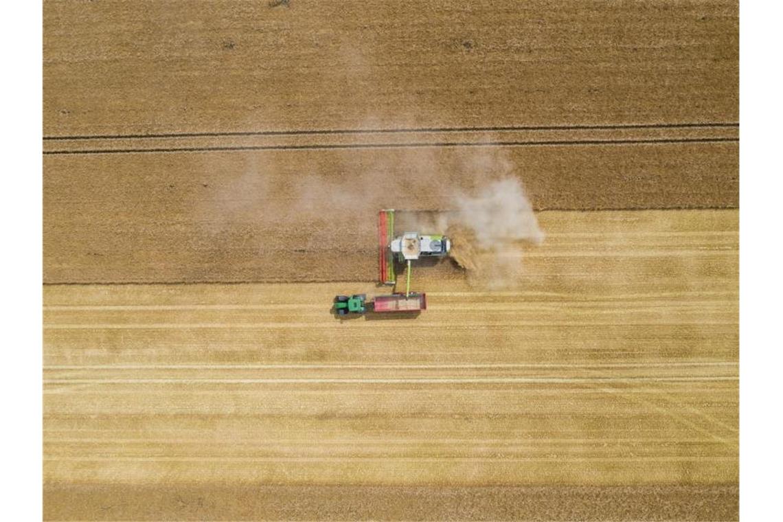 Rund 228 Millionen Euro Dürrehilfe an Bauern ausgezahlt Nach der langen Dürre in vielen Regionen Deutschlands im vergangenen Jahr sind rund 228 Millionen Euro an staatlicher Nothilfe ausgezahlt worden. Foto: Christophe Gateau