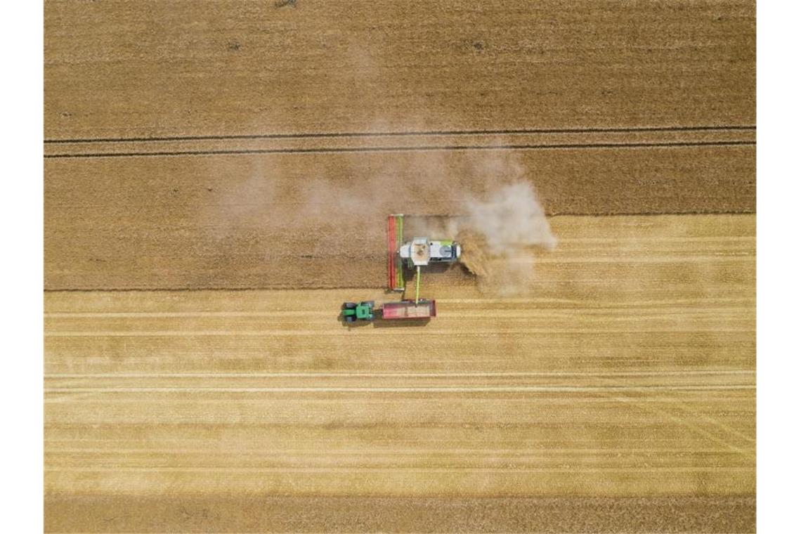 Nach der langen Dürre in vielen Regionen Deutschlands im vergangenen Jahr sind rund 228 Millionen Euro an staatlicher Nothilfe ausgezahlt worden. Foto: Christophe Gateau