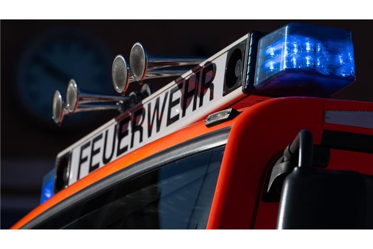 Nach einem Brand in einem Pelletslager in Willstätt (Ortenaukreis) haben sich mehrere Tonnen der Pellets mit Löschwasser vollgesogen. (Symbolbild)