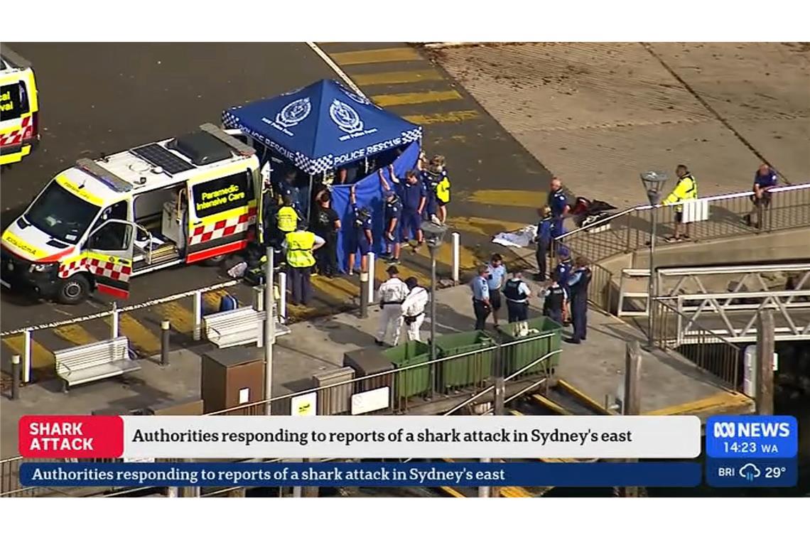 Nach einem mutmaßlichen Haiangriff ist ein Junge in kritischem Zustand.