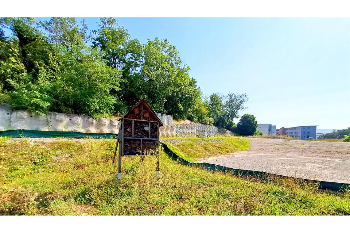 Nach einer aufwendigen und teuren Sanierung gilt das Epple-Areal seit gut 15 Jahren als sauber, allerdings liegt es seitdem brach und wartet auf eine Nutzung.