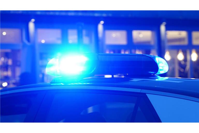 Nach einer Verfolgungsfahrt durch die Polizei sind in den Niederlanden zwei Frauen und ein Mann bei einem Unfall ums Leben gekommen. (Symbolbild)