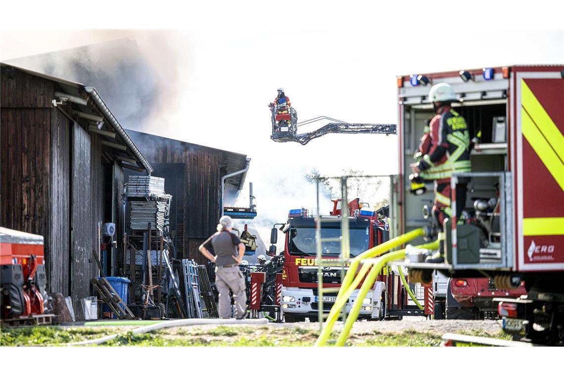 Nach ersten Erkenntnissen verendeten bei dem Feuer etwa 600 Gänse und Hühner.