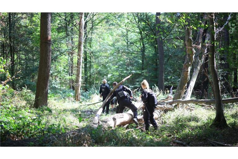 Nach Fällen von Strom-Sabotage sucht die Polizei am Hambacher Forst nach dem Tatverdächtigen.