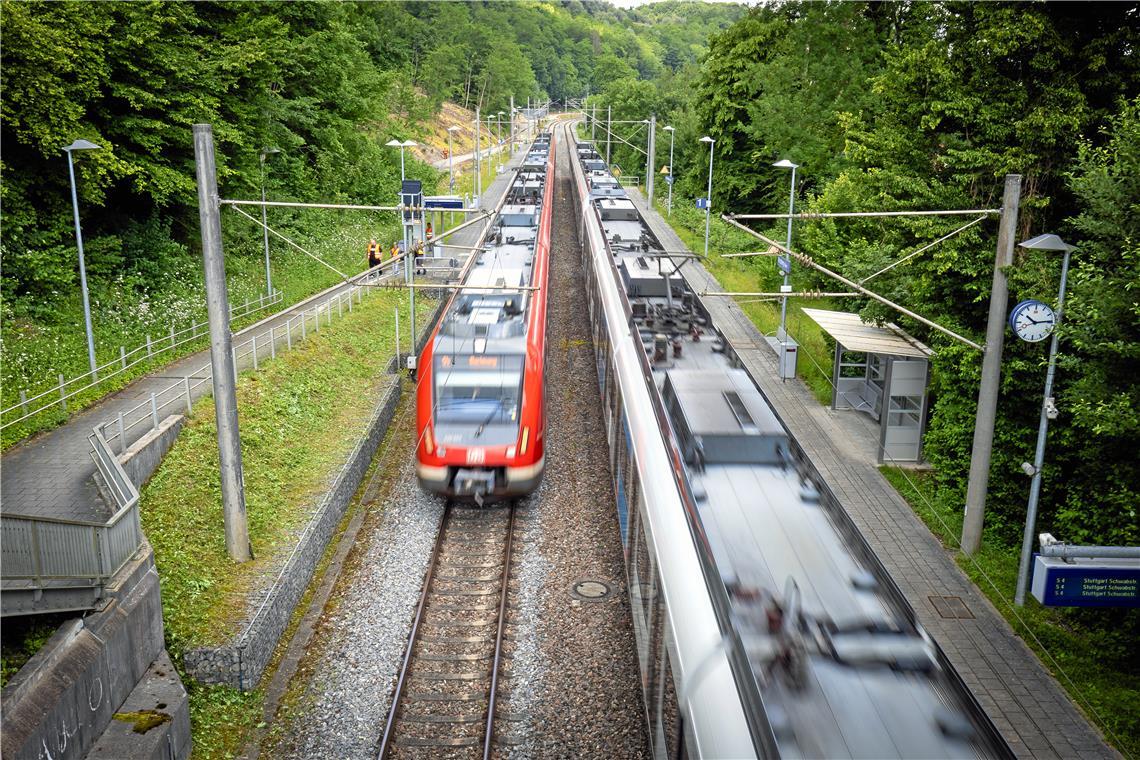Nach fast einjähriger Teil- und Vollsperrung aufgrund des Hochwassers im vergangenen Jahr ist die S4 von der derzeitigen Stammstreckensperrung vergleichsweise wenig betroffen. Kleinere Einschränkungen warten allerdings im Herbst. Archivbild: Alexander Becher