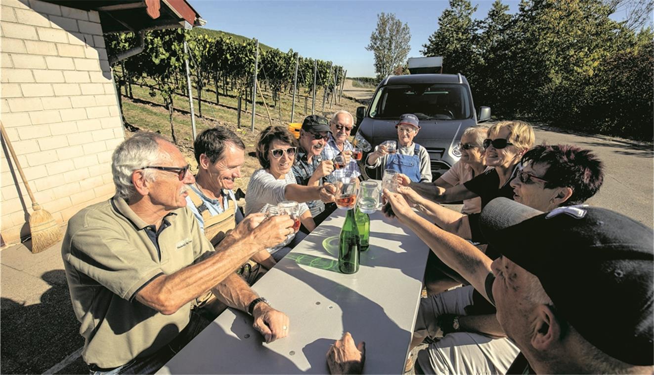 Recherche
mit Rebschere Nach getaner Arbeit hat sich jeder im Weinberg ein Viertele verdient. Fotos: A. Becher