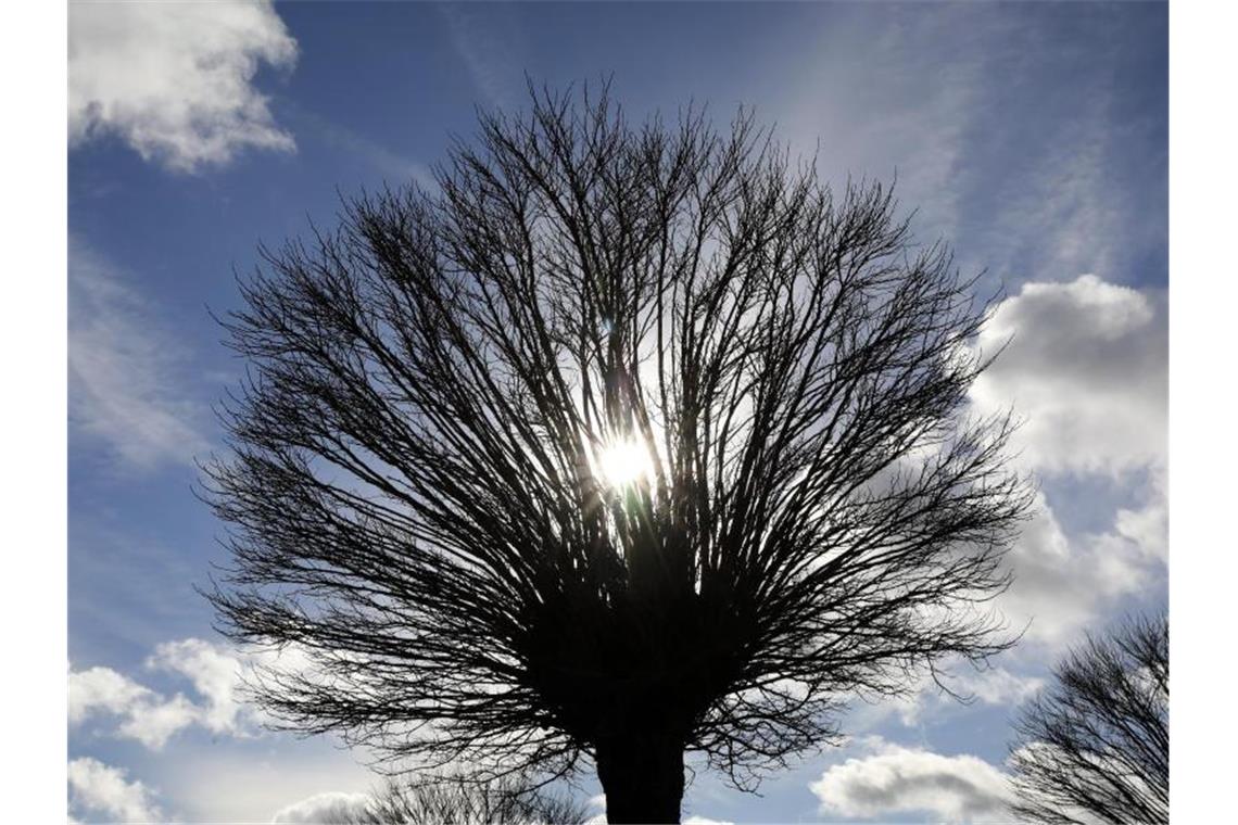 Nach Hoch „Jannis“ am Mittwoch kommt schon das nächste Tief mit Wolken und Regenschauern. Foto: Bernd Wüstneck/dpa-Zentralbild/dpa