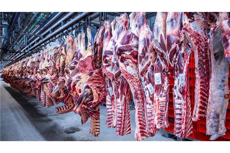 Nach Jahren rückläufiger Schlachtungen ist die Zahl der Schweineschlachtungen im vergangenen Jahr wieder leicht gestiegen. (Archivfoto)