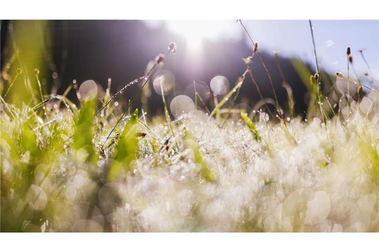Nach Nebel am Morgen kommt die Sonne heraus. (Symbolfoto)