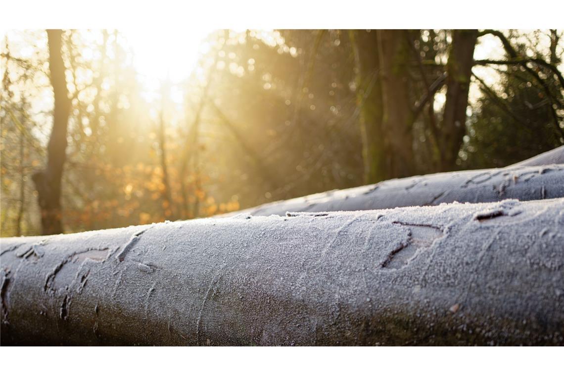 Nach reichlich Regen und Wind und auch Frost dürfen sich die Menschen wieder auf ein paar Sonnenstrahlen freuen.
