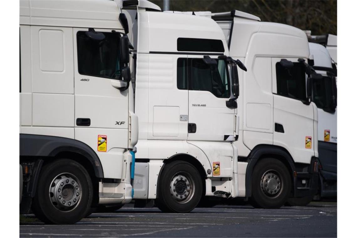 Nach Schätzungen des Branchenverbands Road Haulage Association fehlen etwa 100.000 Lastwagenfahrer. Foto: Sebastian Gollnow/dpa