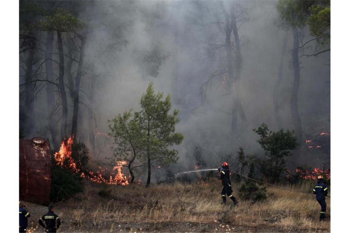 Nach Schätzungen des Gouverneurs der Region sind bislang 2500 Hektar Pinienwald den Flammen zum Opfer gefallen. Foto: Yorgos Karahalis/AP