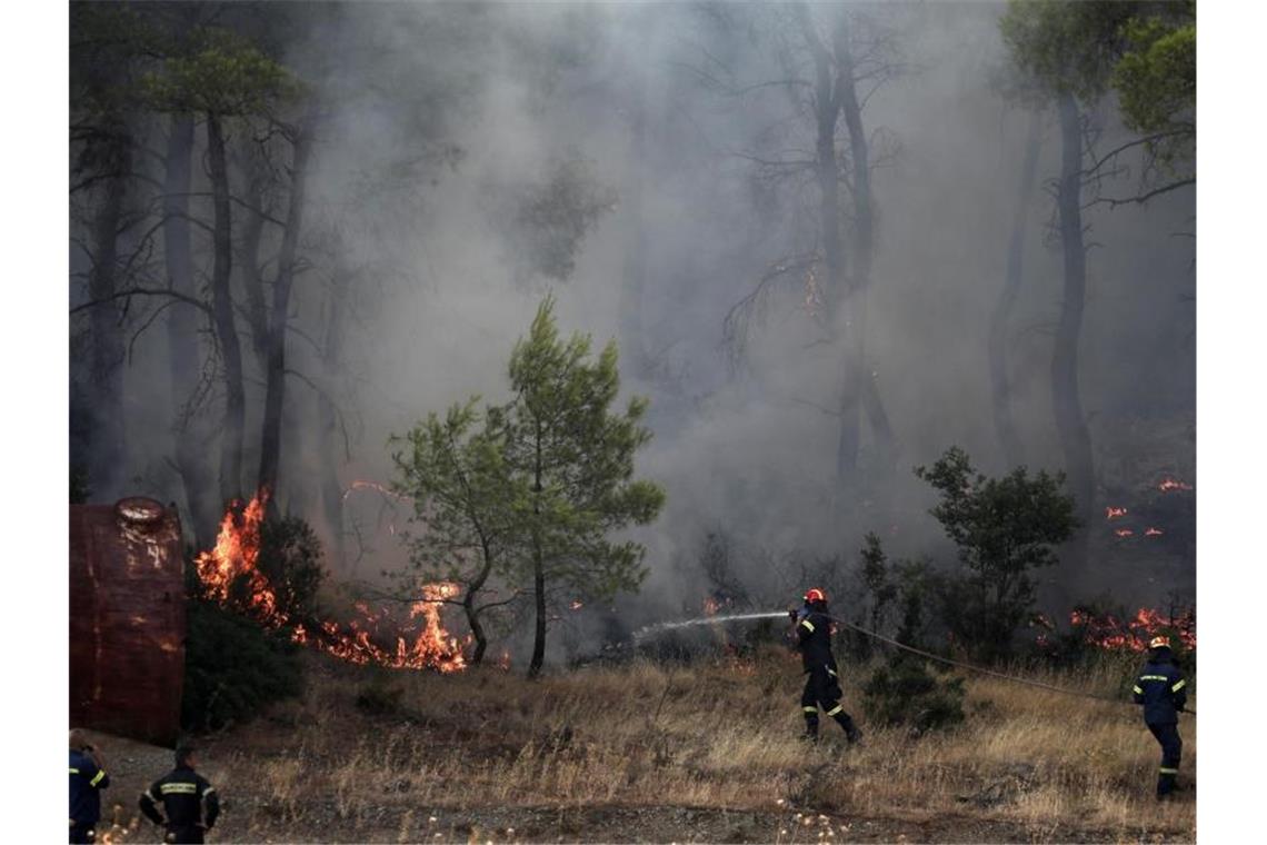 Brände auf griechischer Insel Euböa teils unter Kontrolle Nach Schätzungen des Gouverneurs der Region sind bislang 2500 Hektar Pinienwald den Flammen zum Opfer gefallen. Foto: Yorgos Karahalis/AP