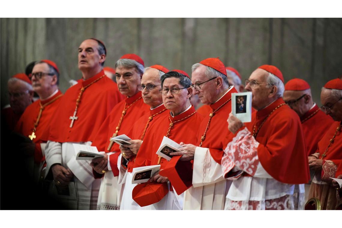 Weitere Planungen für Papst-Begräbnis - Zigtausende am Sarg Nach und nach kommen die Kardinäle der Weltkirche nach Rom. (Archivbild)