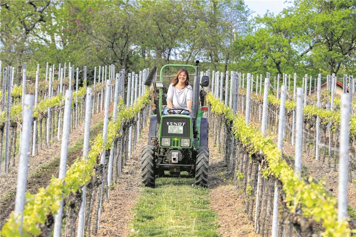 Auf dem Traktor durch den Wengert