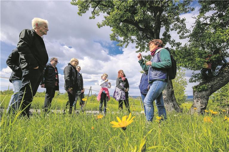 Naturparkführerin Petra Klinger berichtete hier bei der Wiesenwanderung in Allmersbach im Tal viel Informatives über die Natur.Fotos: A. Becher