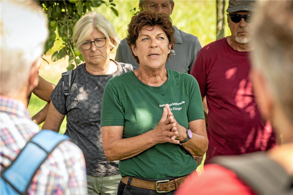 BKZ-Wandertag: Wie der Wald zur Kulturlandschaft wurde Naturparkführerin Petra Klinger weiß viel Interessantes über die Kulturlandschaft im Raum Backnang zu berichten.