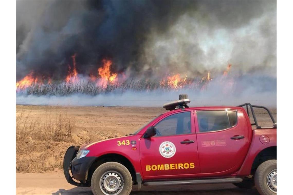 Bolsonaro will angeblich hart gegen Brandstifter vorgehen Naturschützer gehen davon aus, dass Bauern mit den Feuern neue Weideflächen erschließen wollen. Foto: CBMMT