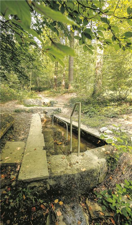 Die Gesichter der Wassertretbecken Naturwassertretbecken in Oppenweiler.