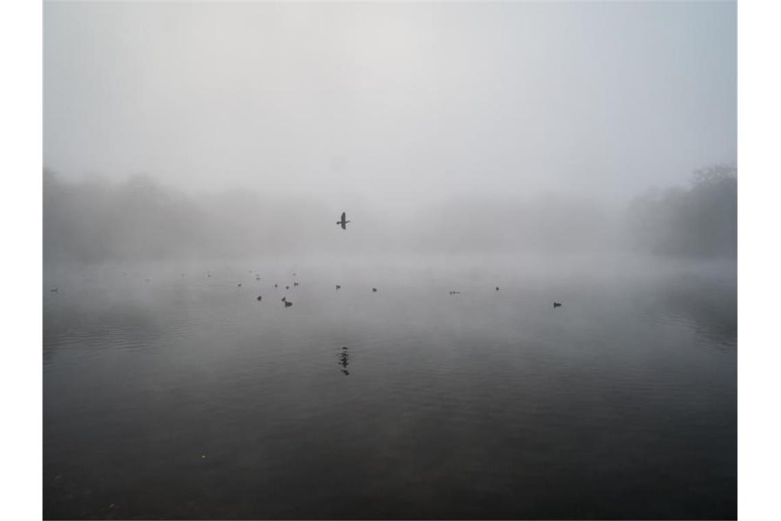 Viel Nebel und etwas Sonne in Baden-Württemberg Nebel. Foto: Henning Kaiser/dpa/Archivbild