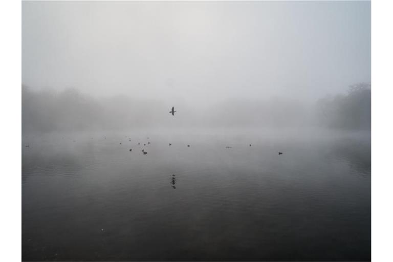 Nebel. Foto: Henning Kaiser/dpa/Archivbild