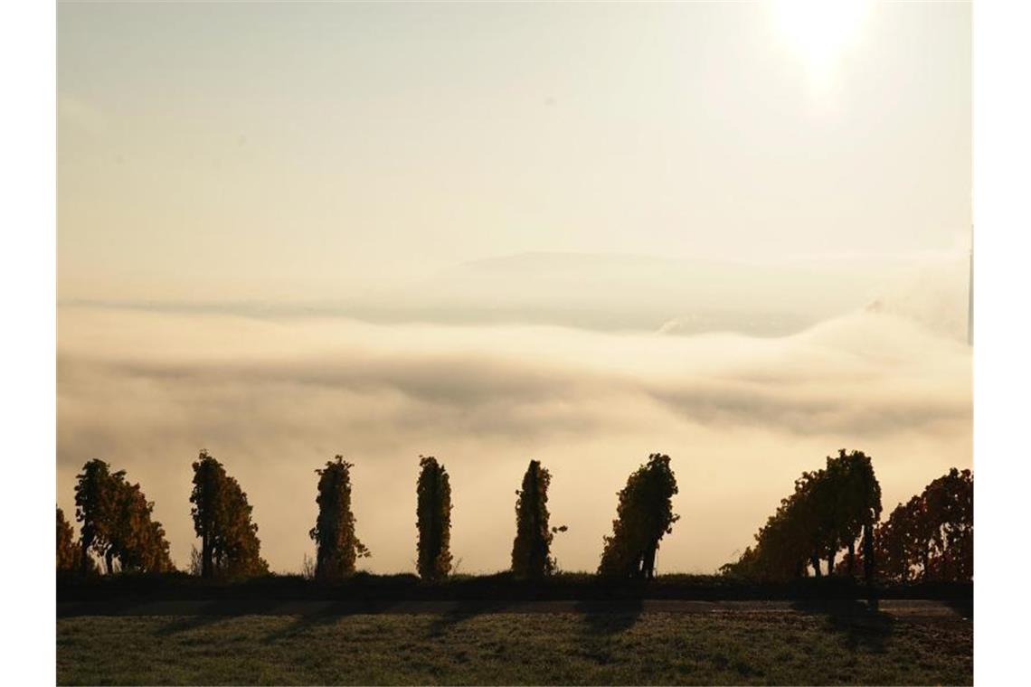 Sonne, Frost und Nebel im Südwesten Nebel hängt über dem Neckartal in Stuttgart. Foto: Andreas Rosar/dpa