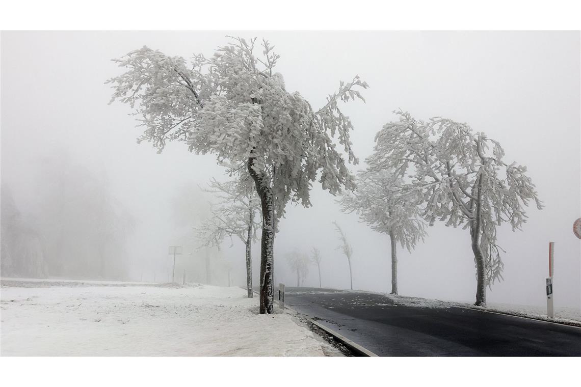 Nebel, vereiste Bäume und glatte Straßen. (Symbolbild)
