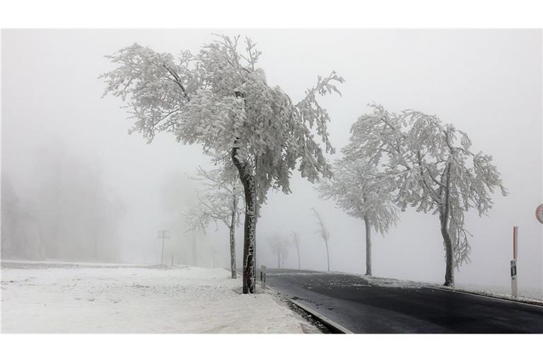 Nebel, vereiste Bäume und glatte Straßen. (Symbolbild)