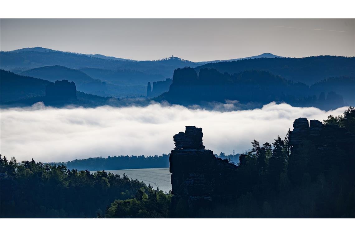 Nebel zieht am Morgen durch die Sächsische Schweiz bei Gohrisch.