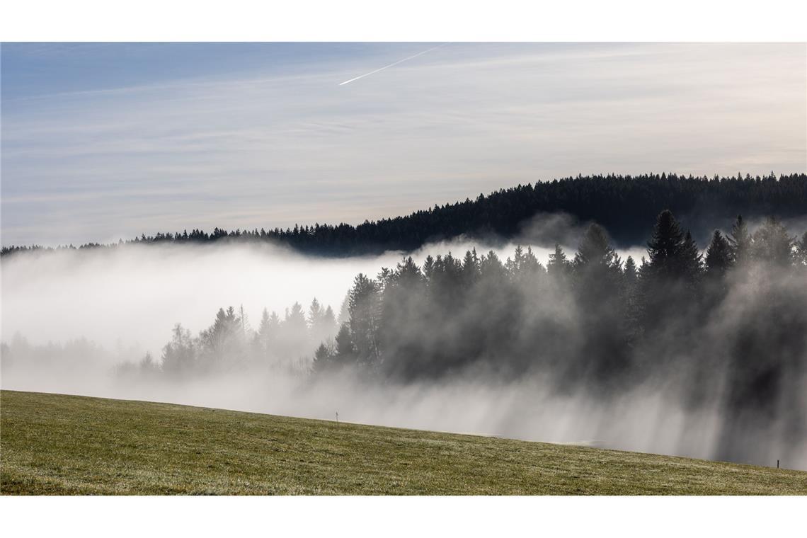 Nebel zieht durch den Wald  im Hochschwarzwald (Symbolbild).
