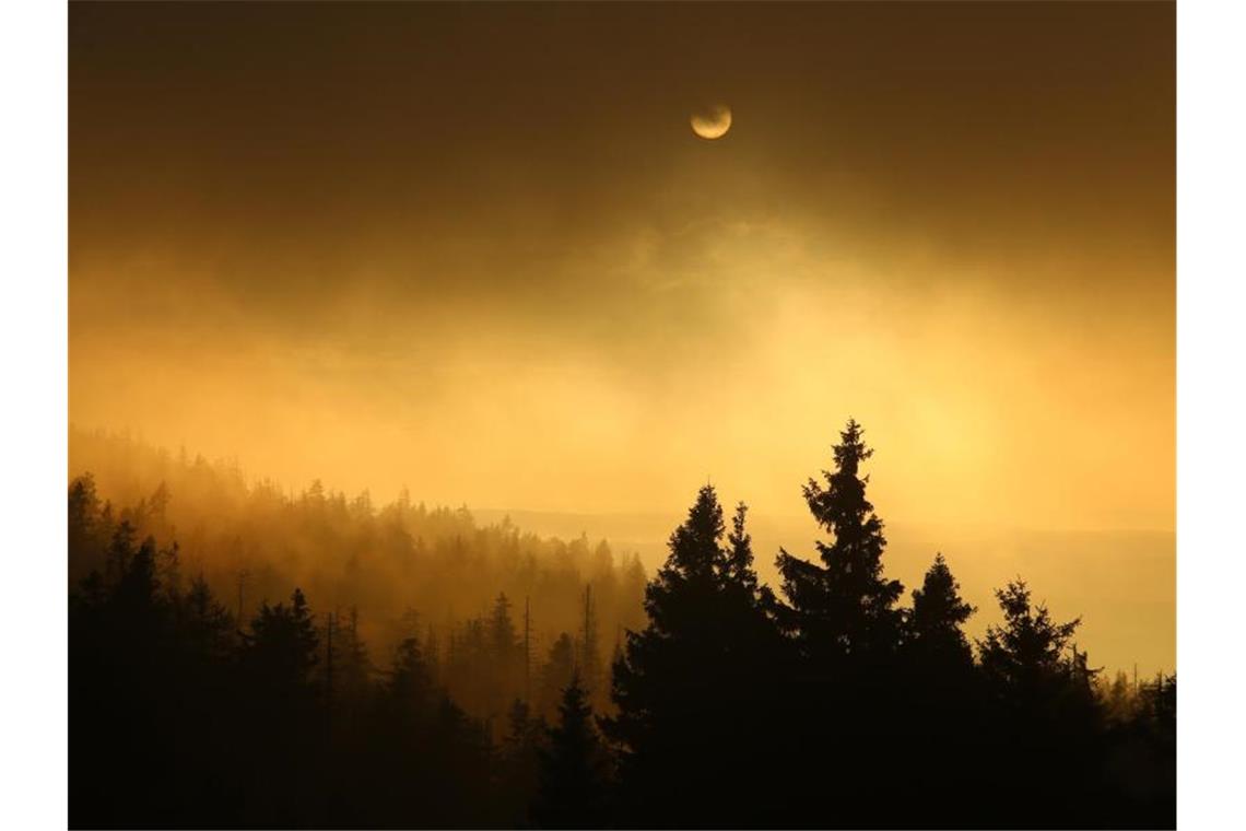 Nebelstimmung am Morgen auf dem Brocken im Harz. Foto: Matthias Bein/dpa-Zentralbild/dpa