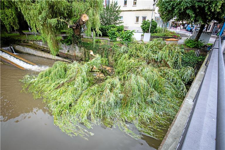 Neben der Sulzbacher Brücke ist gestern eine Weide auseinandergebrochen. Foto: A. Becher