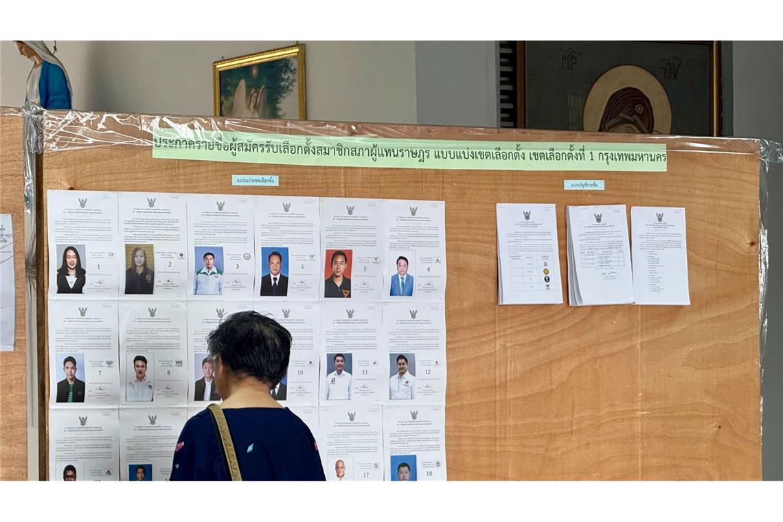 Neben einem neuen Parlament stimmten die Wähler auch über eine mögliche neue Verfassung ab.