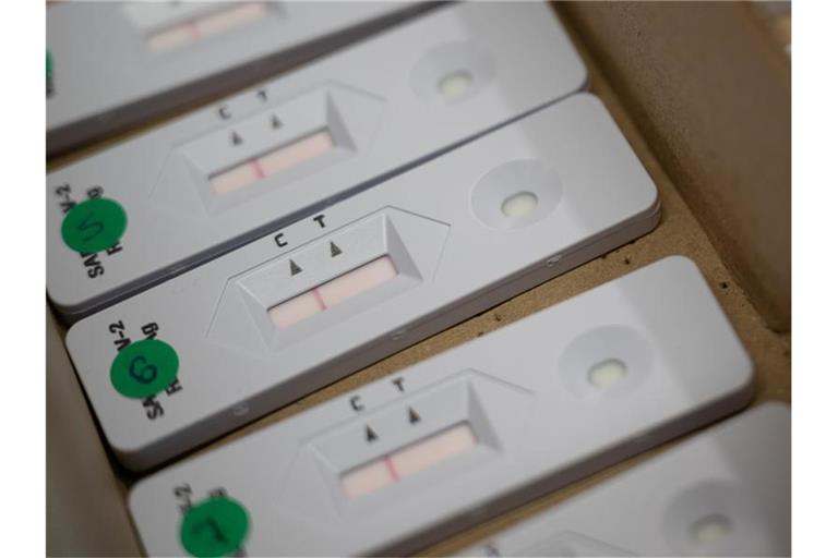 Negative Corona-Schnelltests liegen in einer Box. Foto: Sebastian Gollnow/dpa