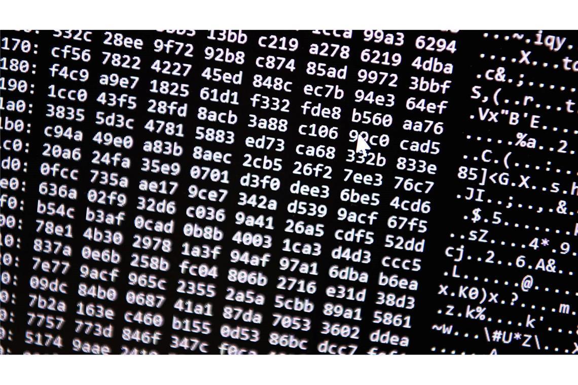 Neue Tools ermöglichten einen Schlag gegen ein Betrugs-Netzwerk im Darknet. (Symbolbild)