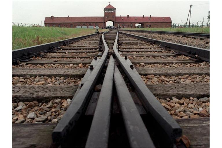 Neun hölzerne Baracken in der NS-Gedenkstätte Auschwitz-Birkenau sind mit Parolen auf Englisch und Deutsch besprüht worden. (Archivbild). Foto: Jens Kalaene/dpa-Zentralbild/dpa