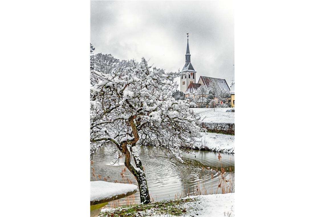    Neuschnee am Schlosssee Oppenweiler