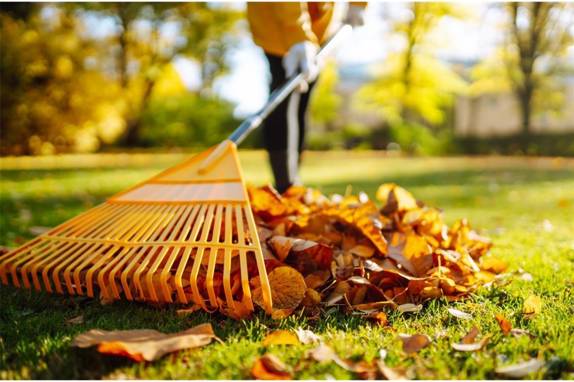 Darf man an Allerheiligen im Garten arbeiten? Nicht alle Arbeiten sind an Allerheiligen erlaubt.
