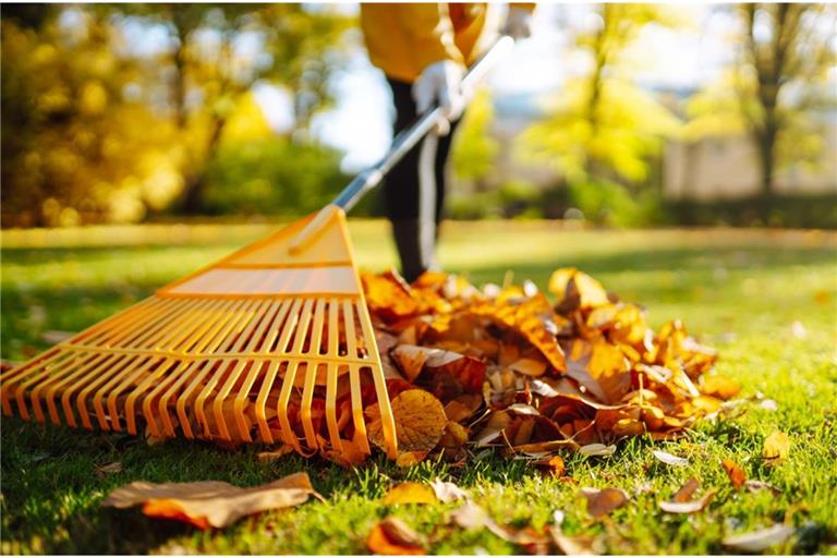 Darf man an Allerheiligen im Garten arbeiten? Nicht alle Arbeiten sind an Allerheiligen erlaubt.