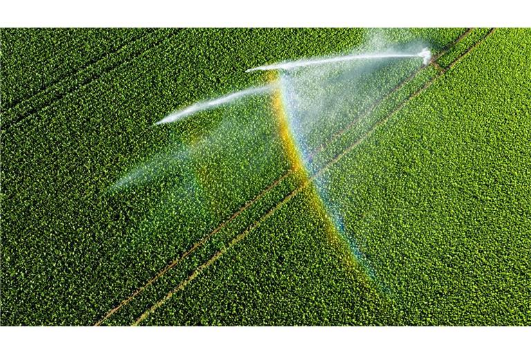 Nicht einmal fünf Prozent der landwirtschaftlichen Fläche kann bewässert werden.