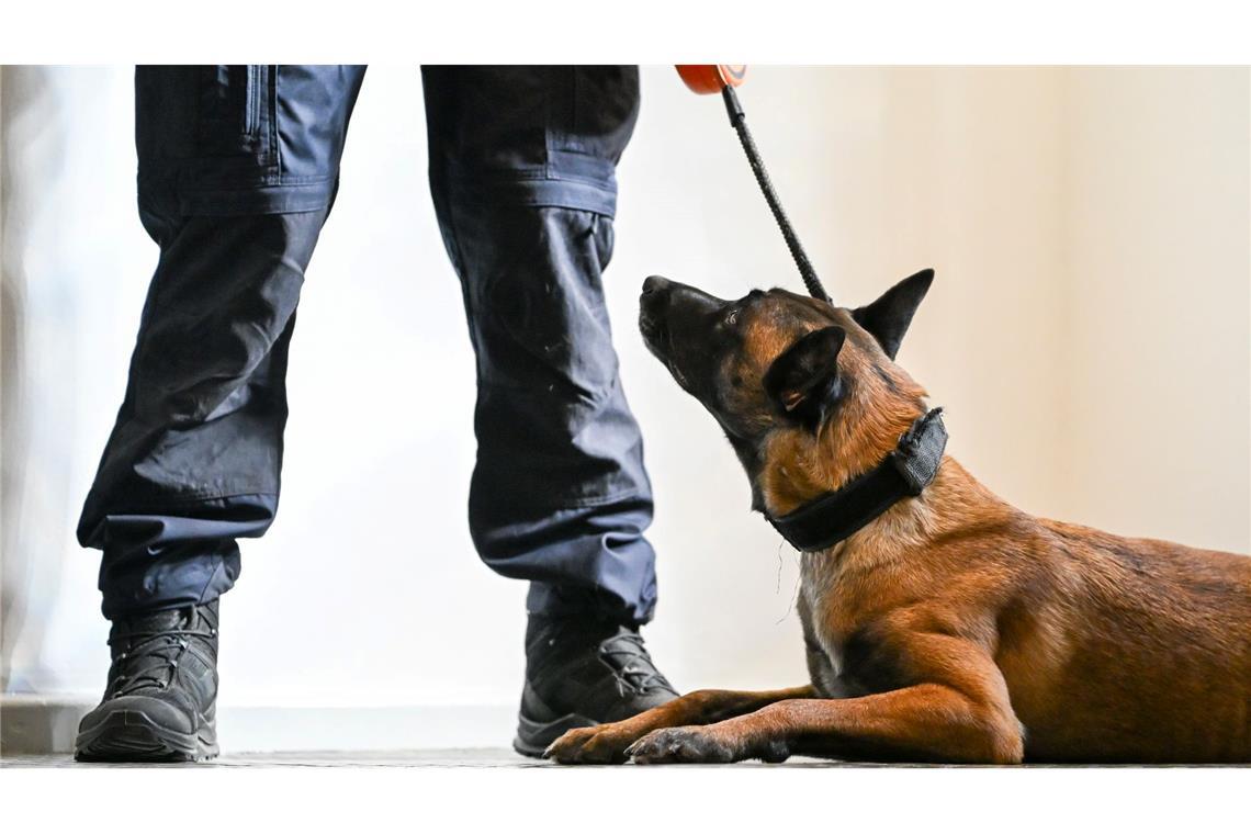 Nicht immer ist es leicht zu erkennen, wenn Tiere leiden. (Symbolbild)