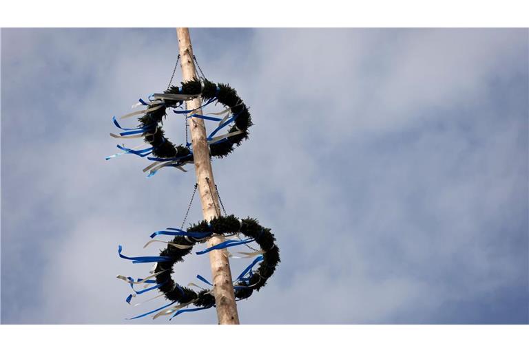 Nicht mehr standfest: ein Maibaum im Neckar-Odenwald-Kreis. (Symbolfoto)