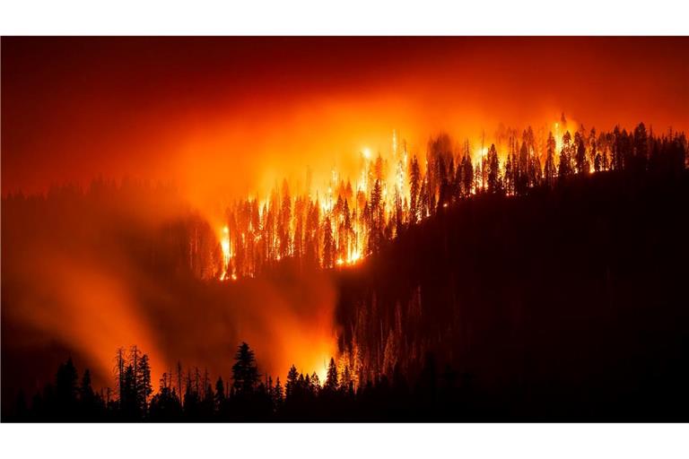 Nicht nur Verursacher, sondern auch Opfer der Klimakrise: Viele Regionen in den USA haben häufig mit Extremwetterereignissen wie Waldbränden zu kämpfen. Diese werden mit der Erderwärmung häufiger und heftiger. (Archivbild)